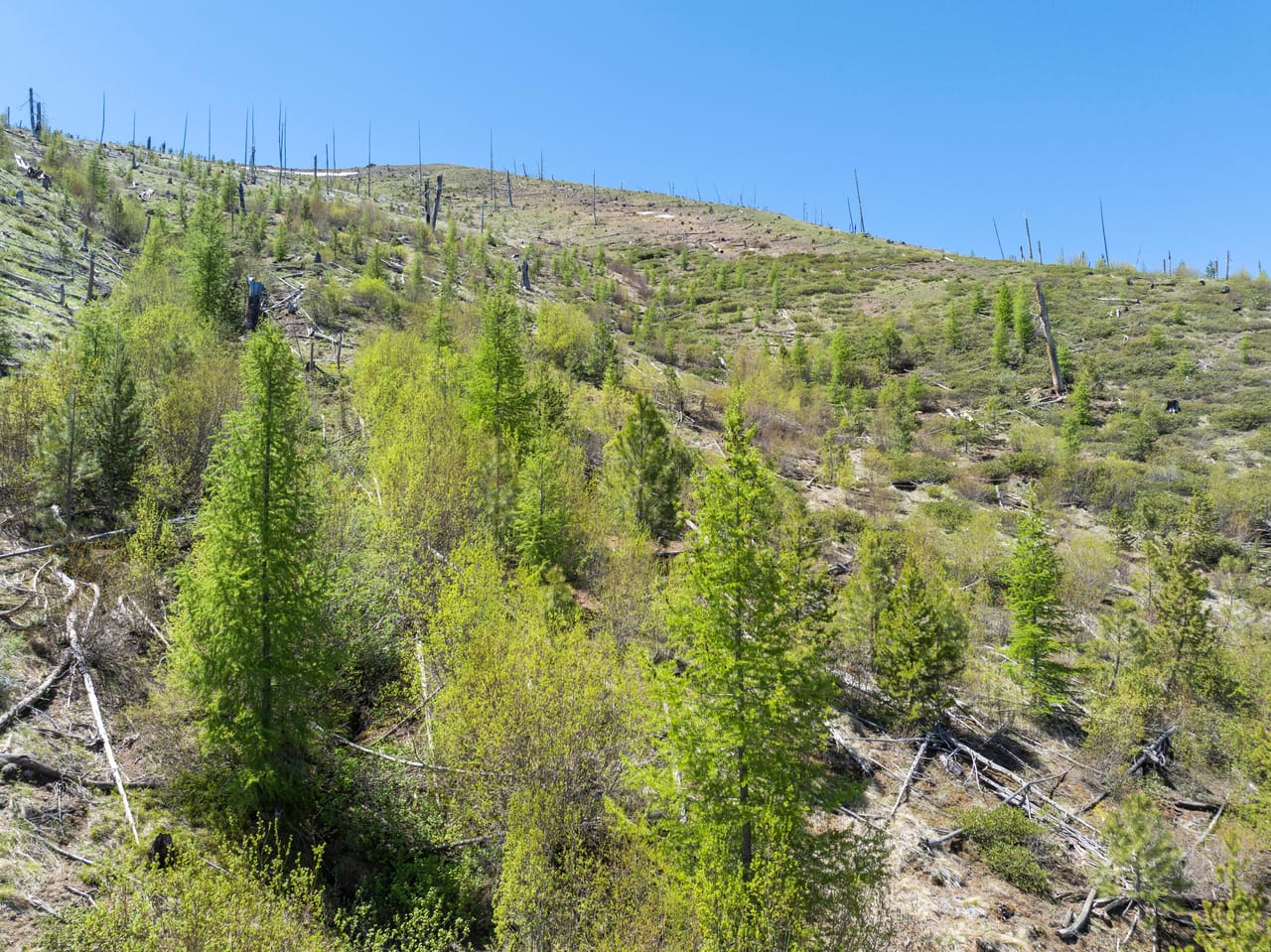 Listing Image 9