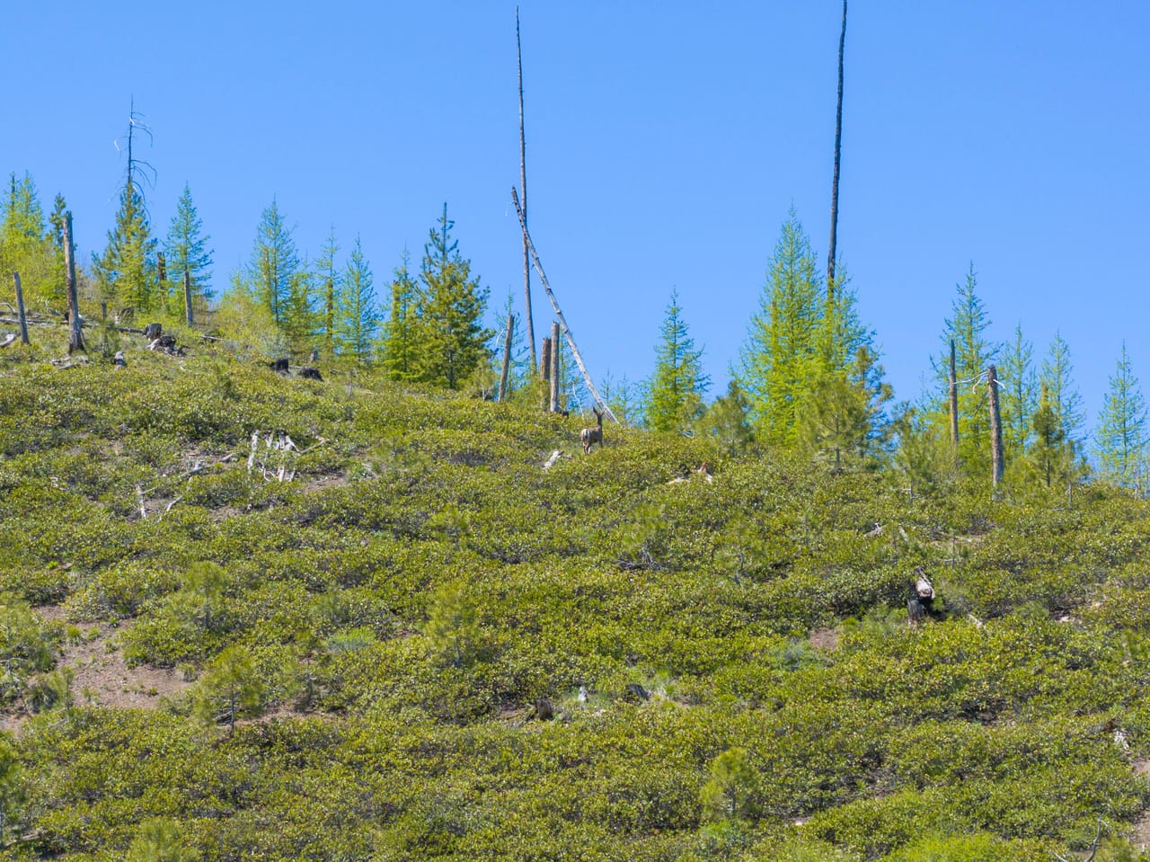 Listing Image 11