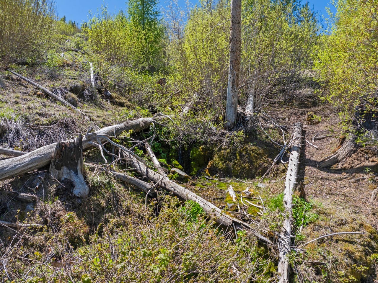 Listing Image 13