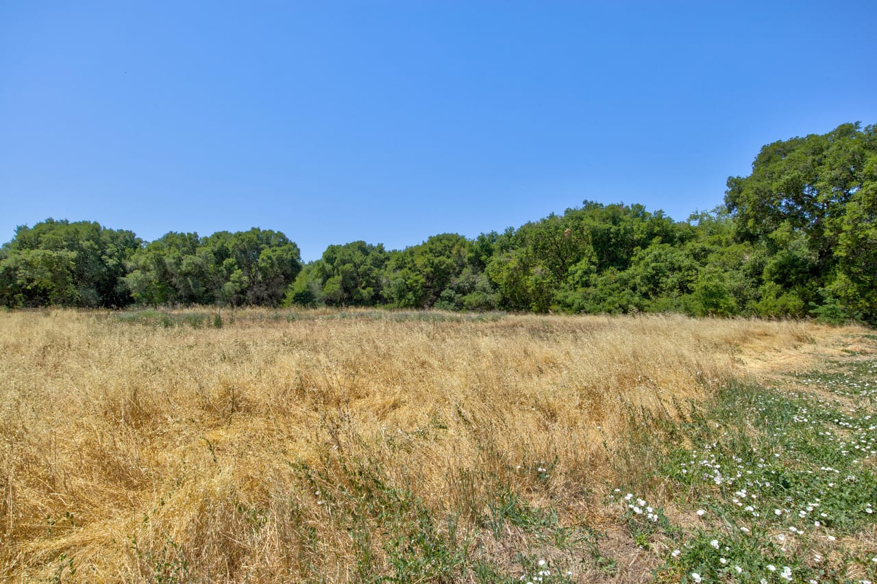 Listing Image 47