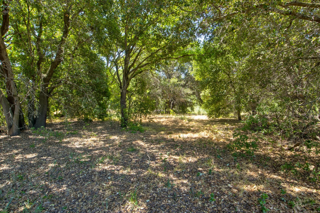 Listing Image 53