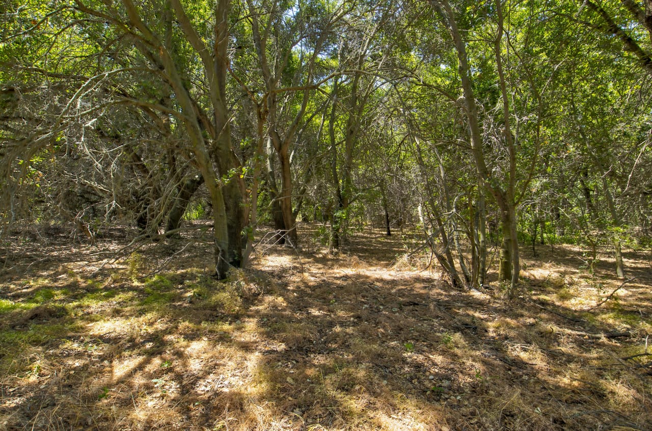 Listing Image 37