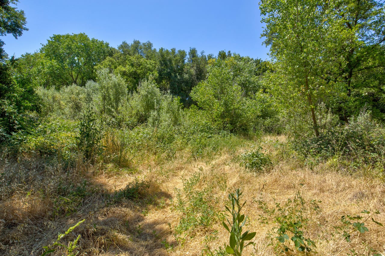 Listing Image 41