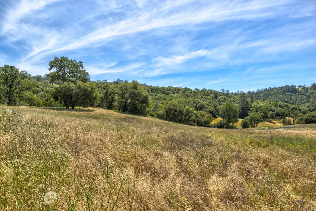 Listing Image 52
