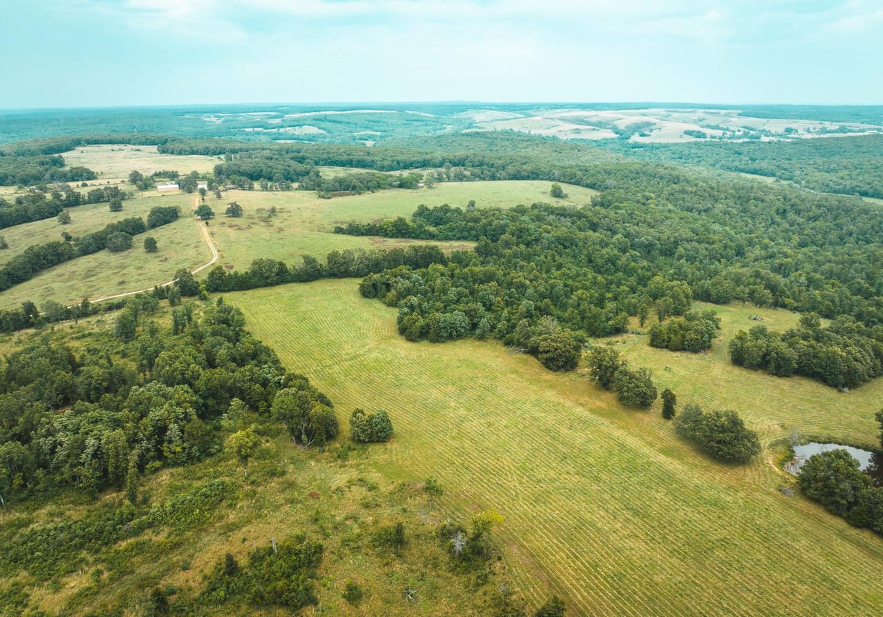 Listing Image 18