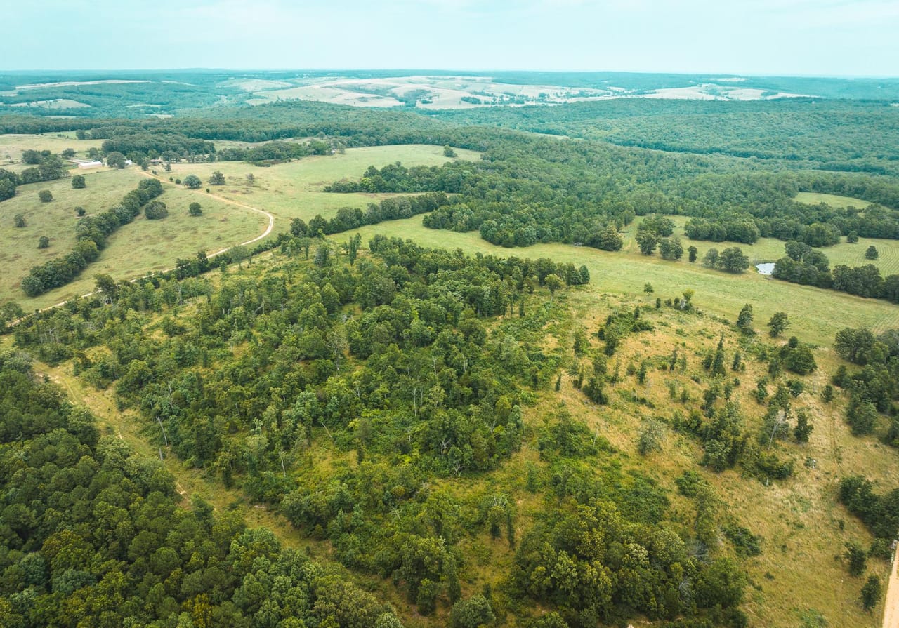 Listing Image 21