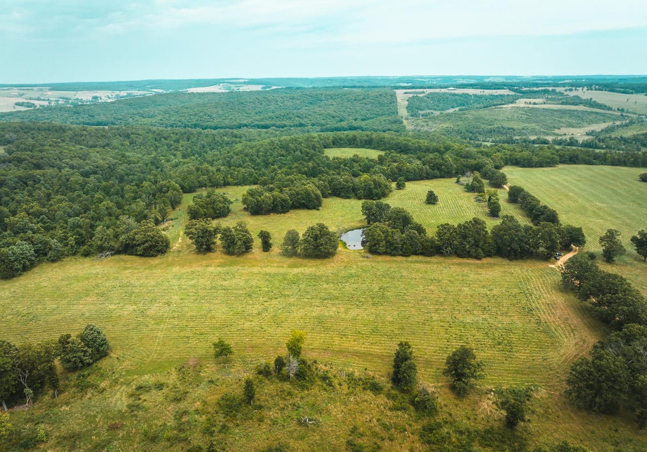 Listing Image 23