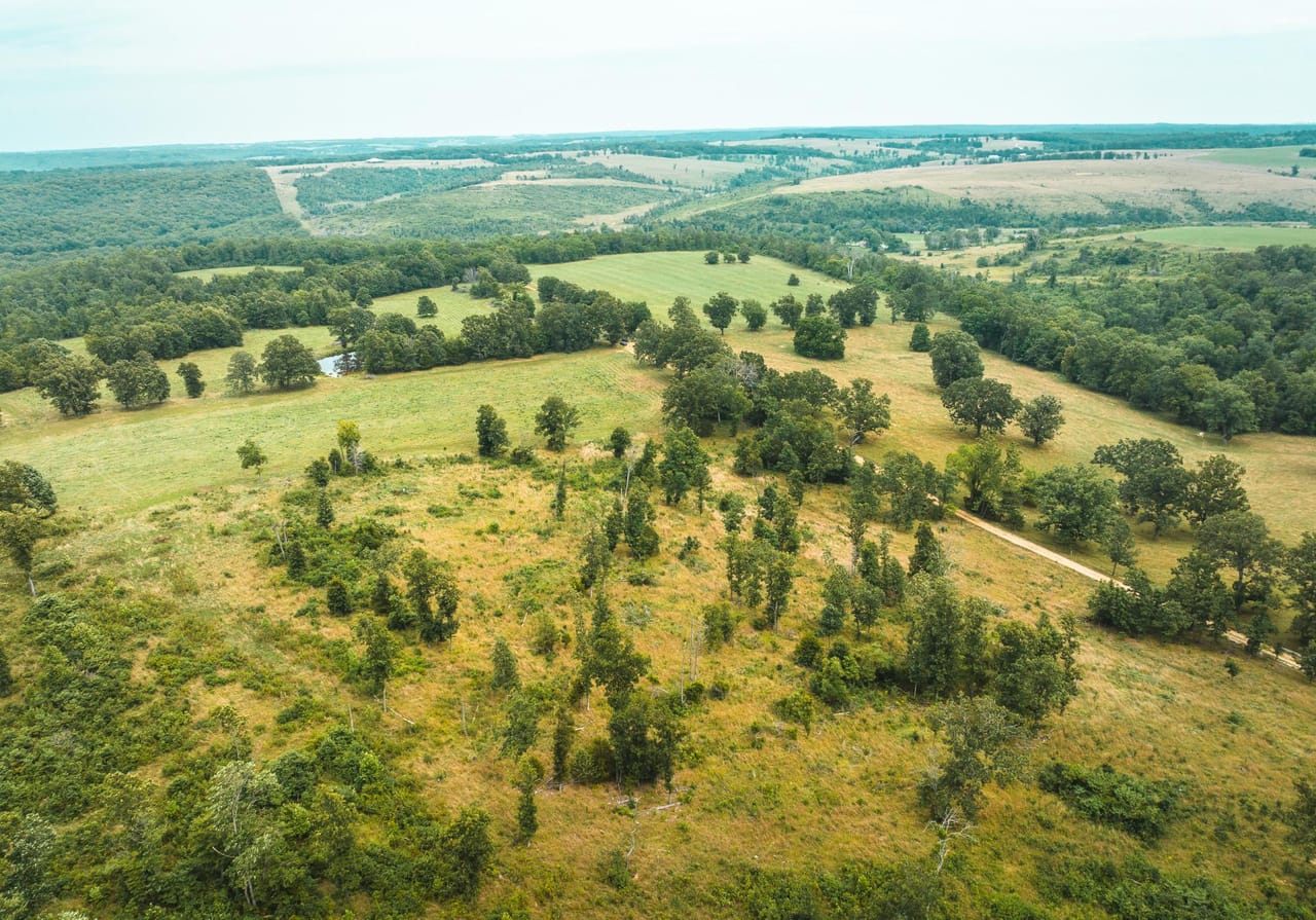 Listing Image 24