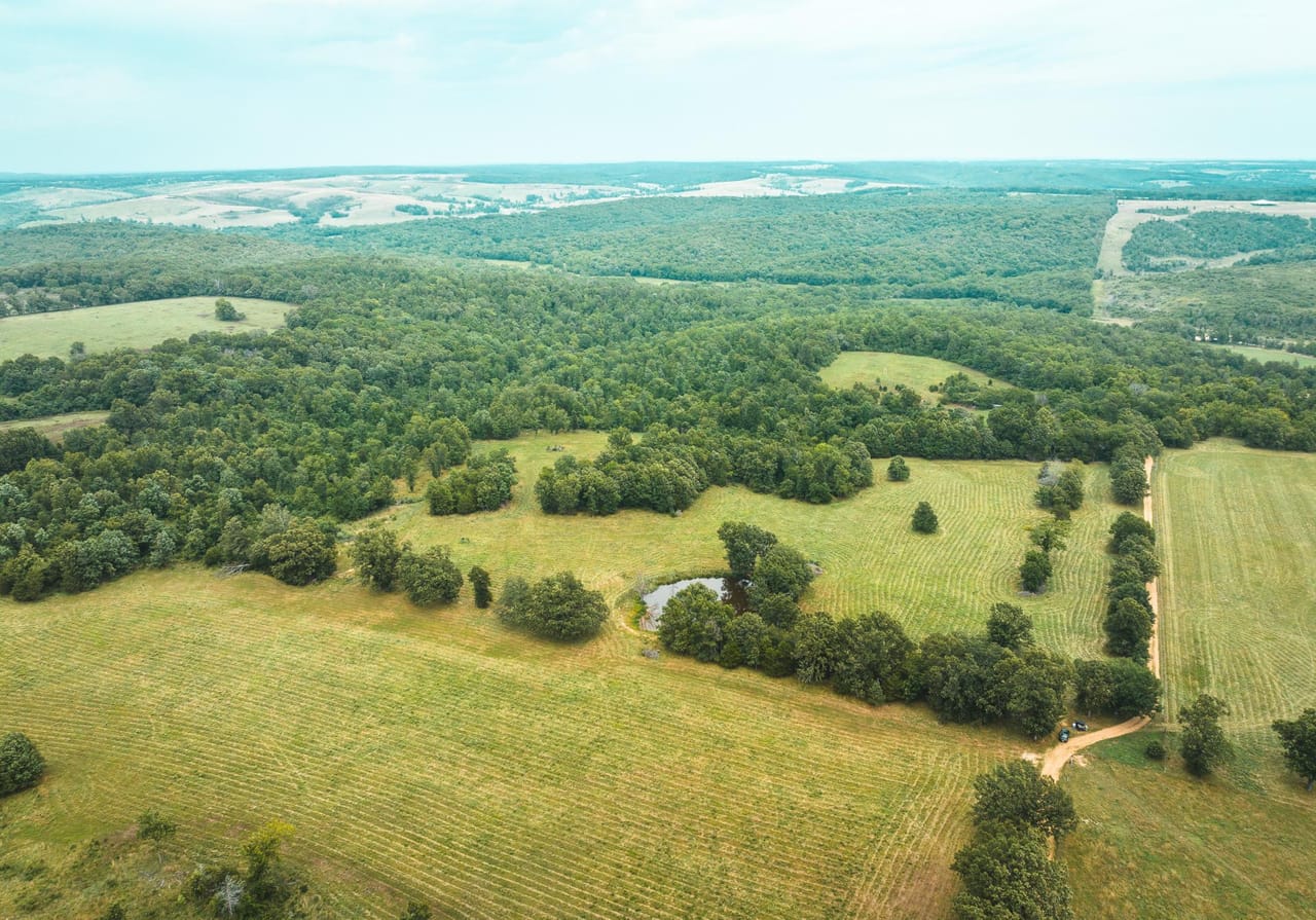Listing Image 70