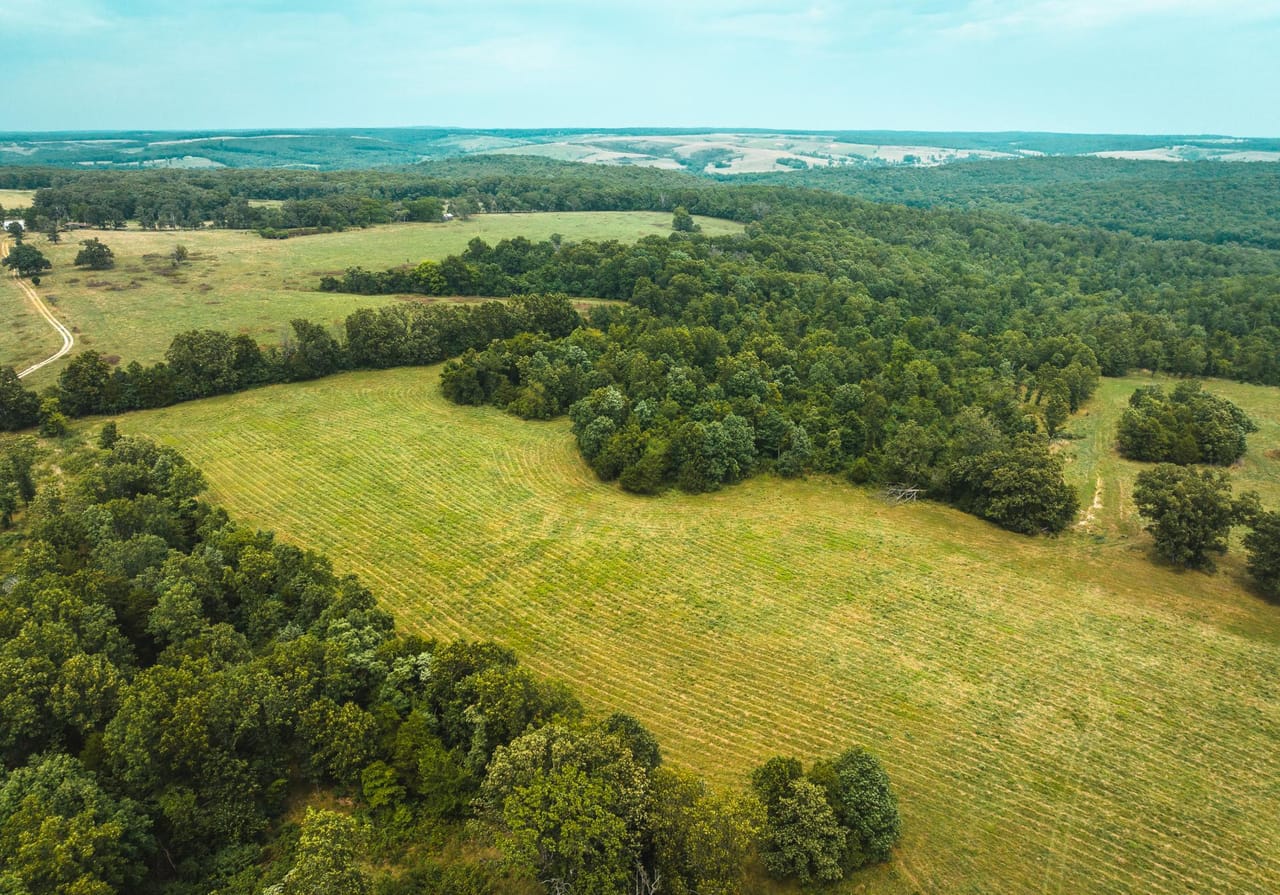 Listing Image 82