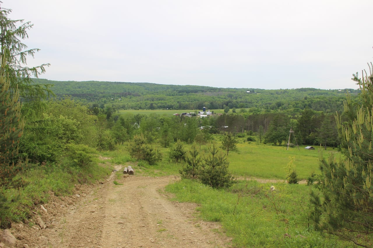 Listing Image 19