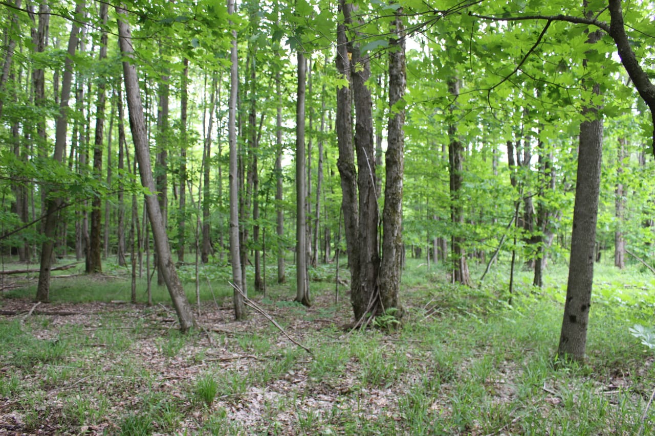 Listing Image 22