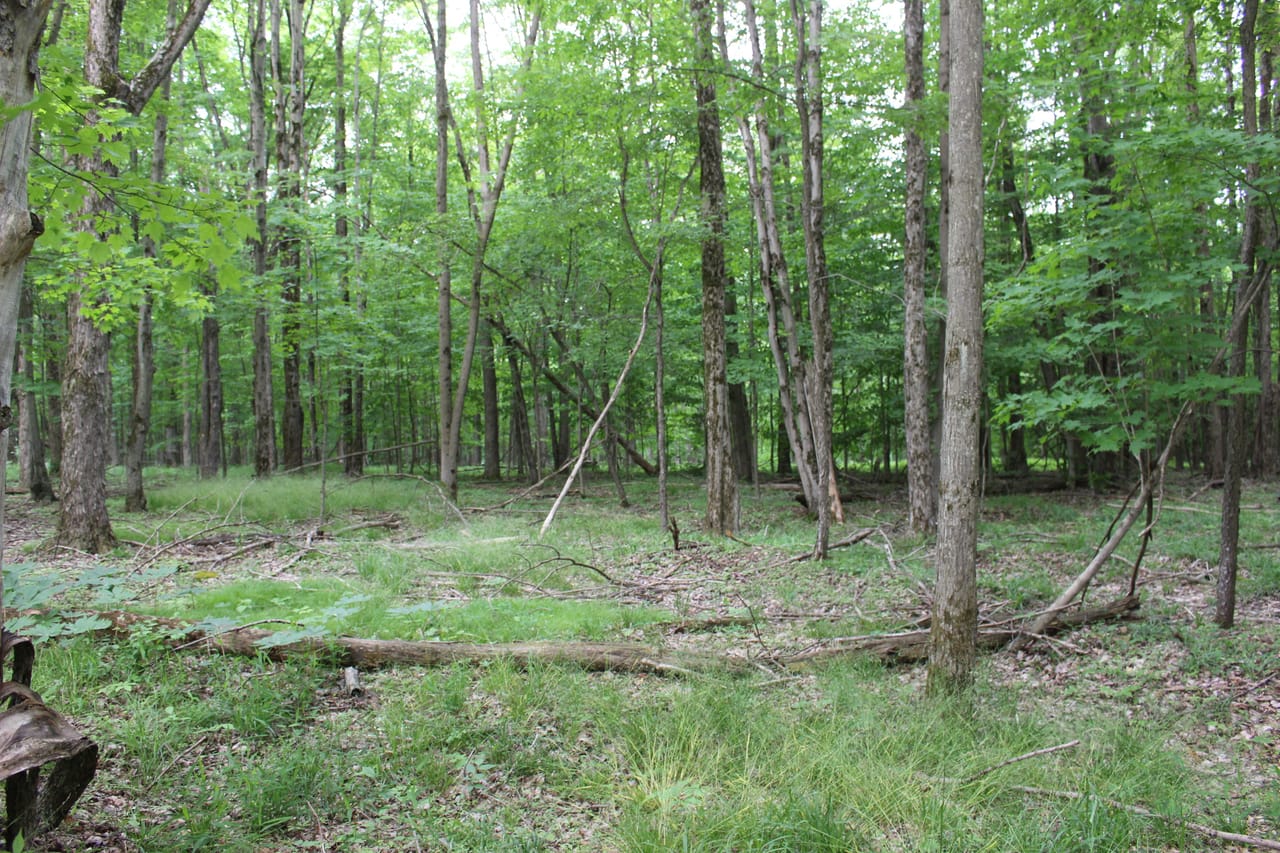 Listing Image 11