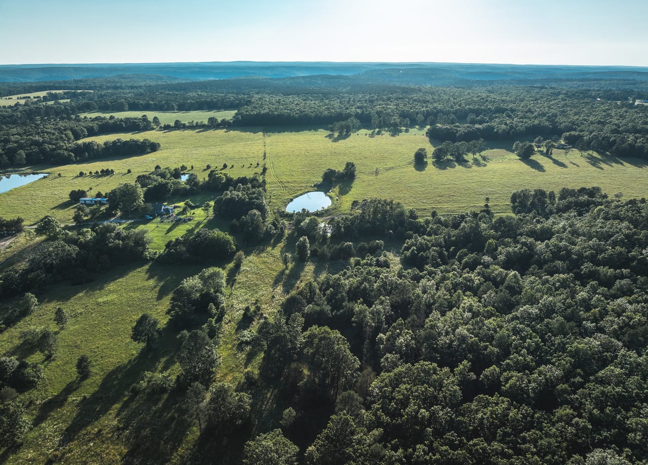 Listing Image 133