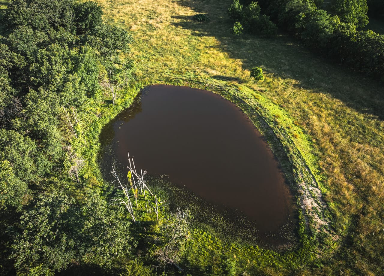 Listing Image 15