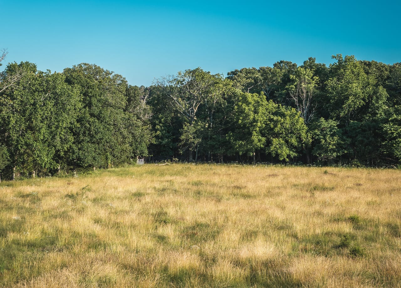 Listing Image 101