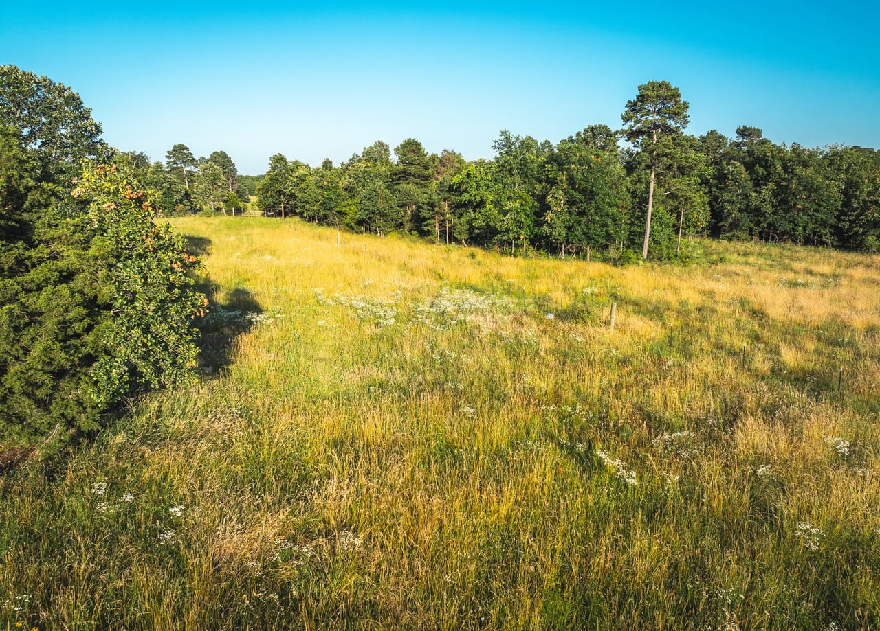 Listing Image 126