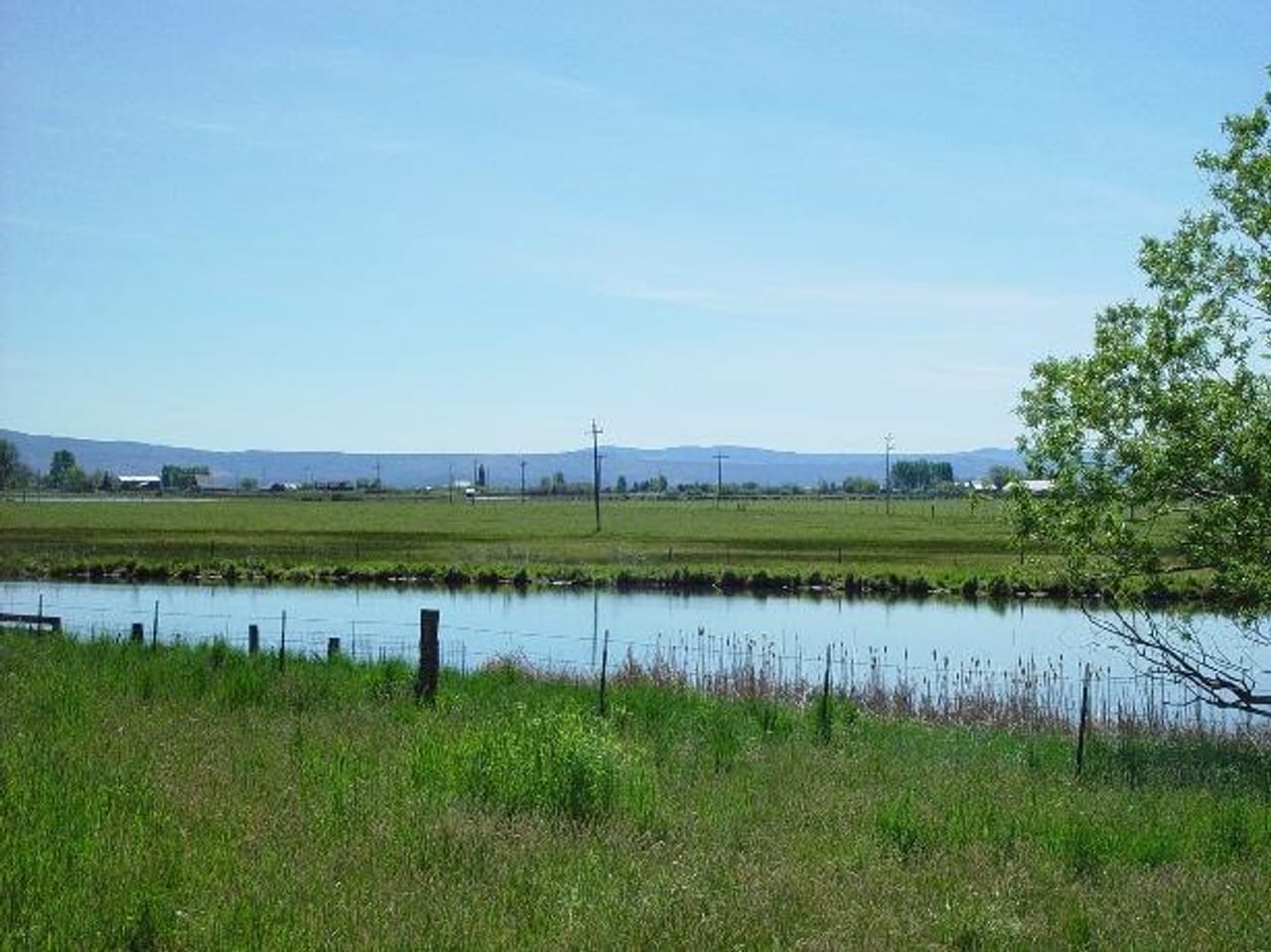 Listing Image 11