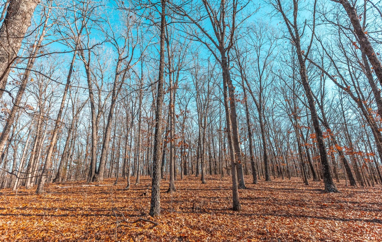 Listing Image 16