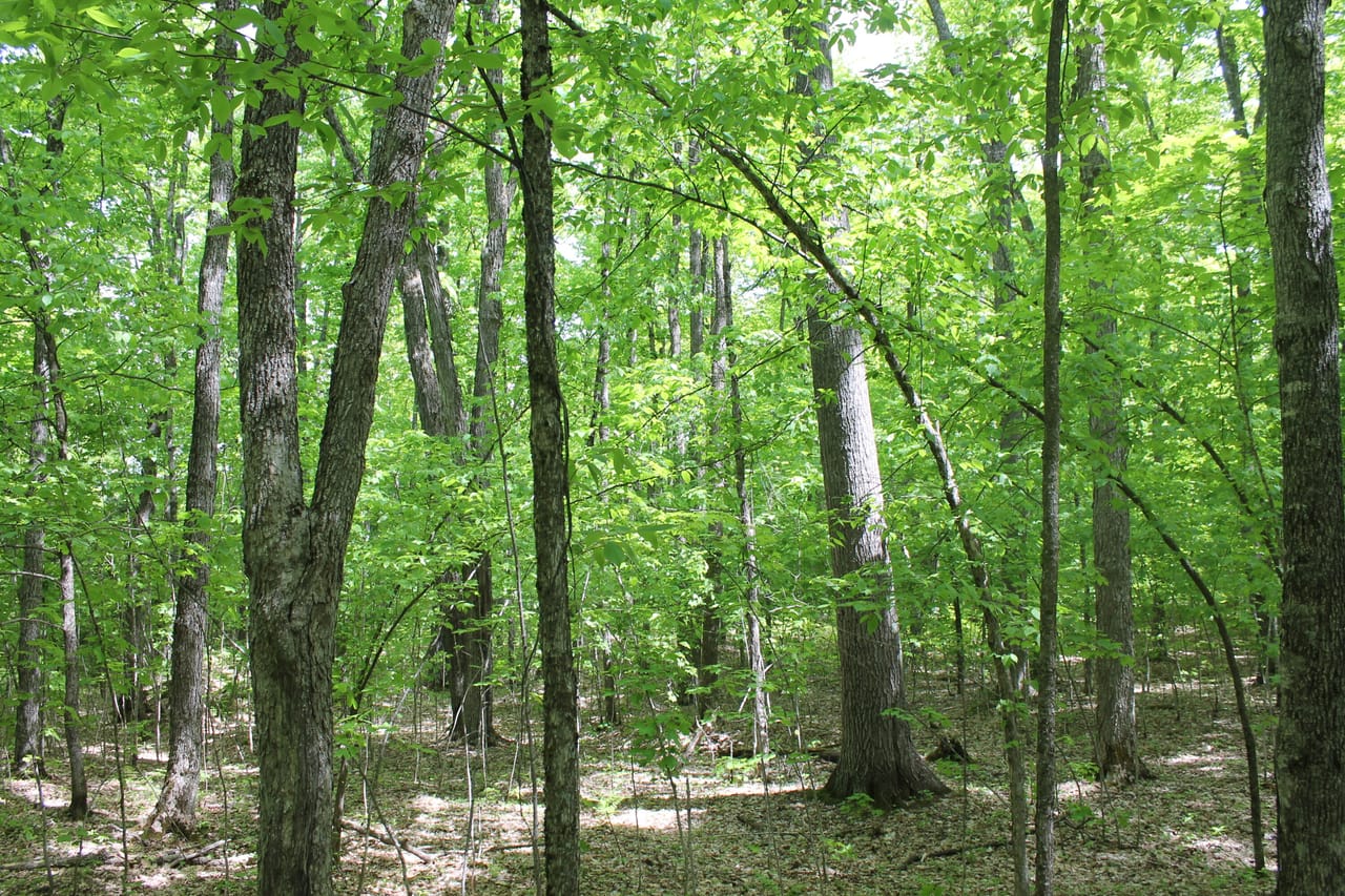 Listing Image 7