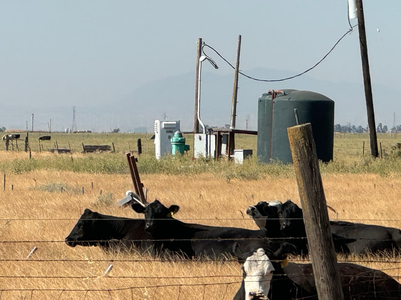 Listing Image 6
