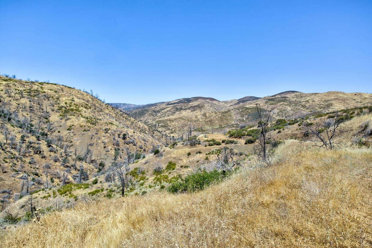 Listing Image 38