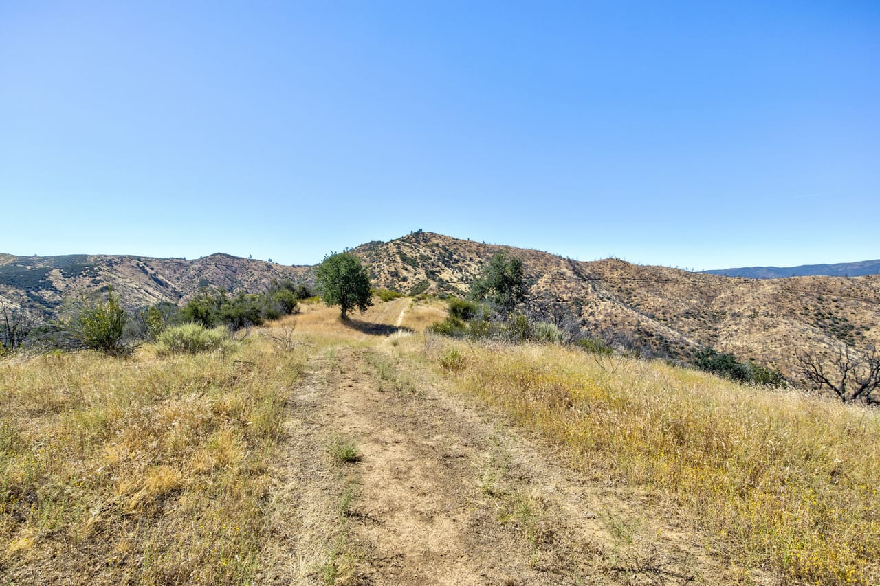 Listing Image 40