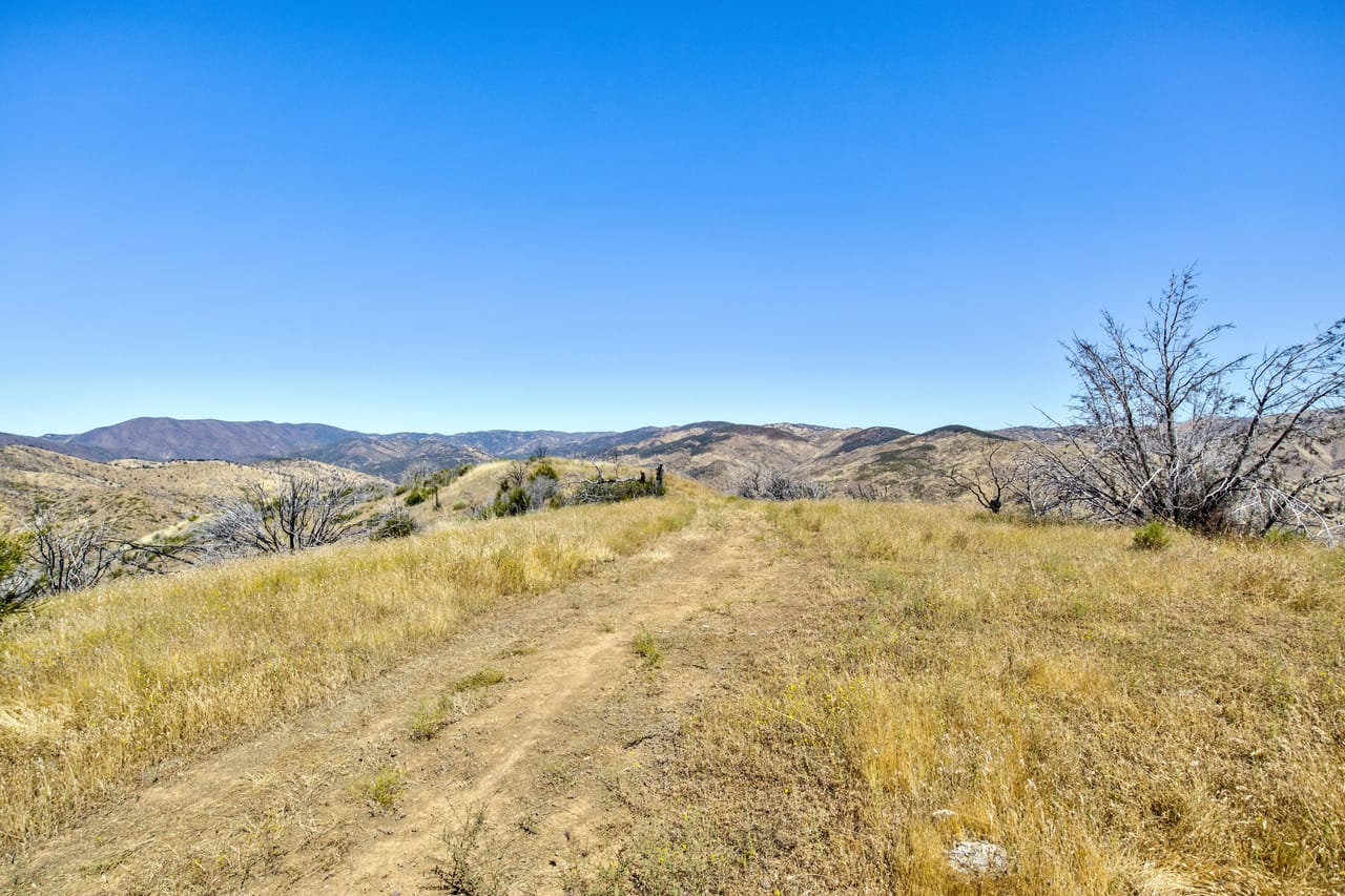 Listing Image 51