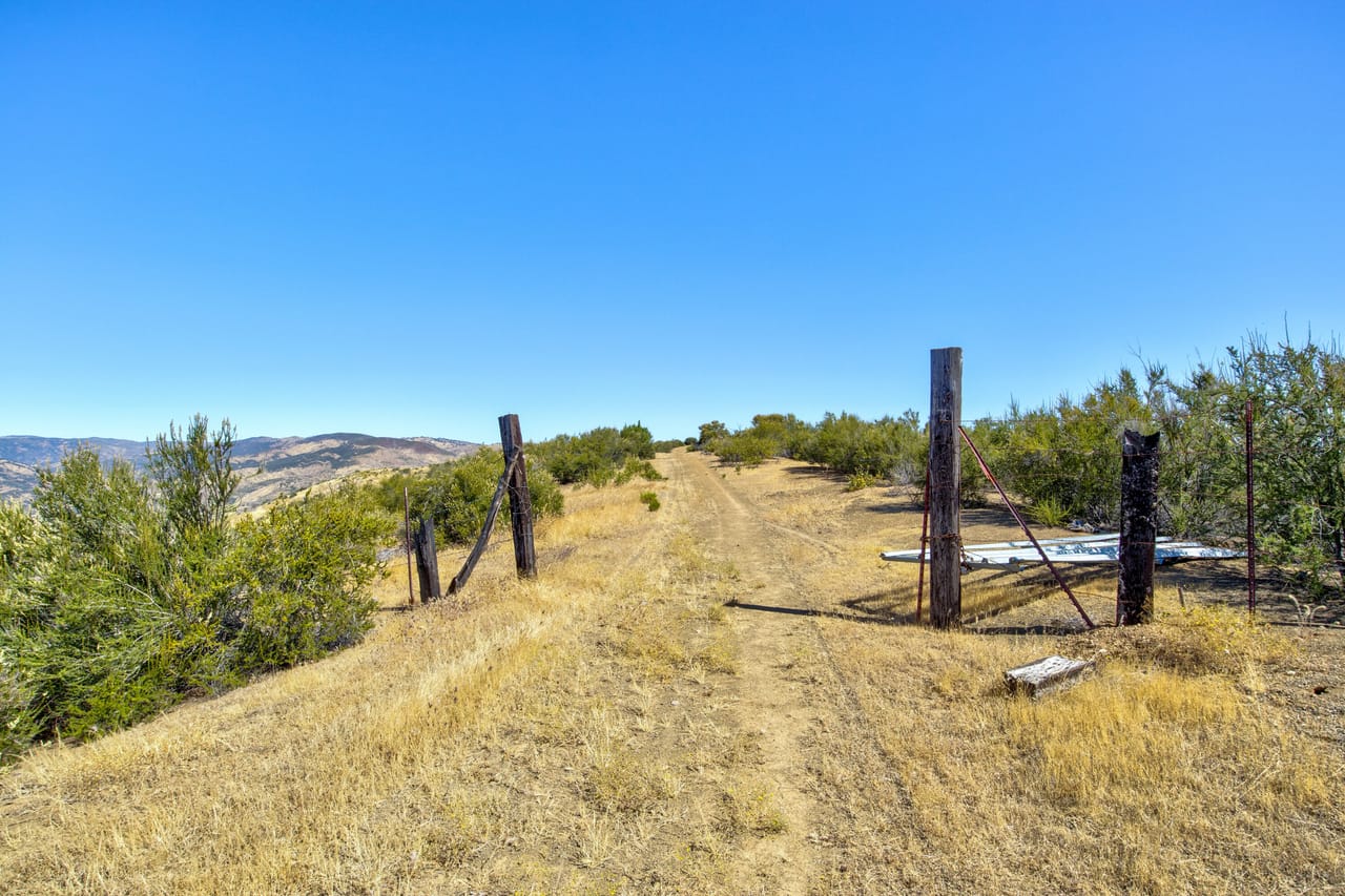 Listing Image 18