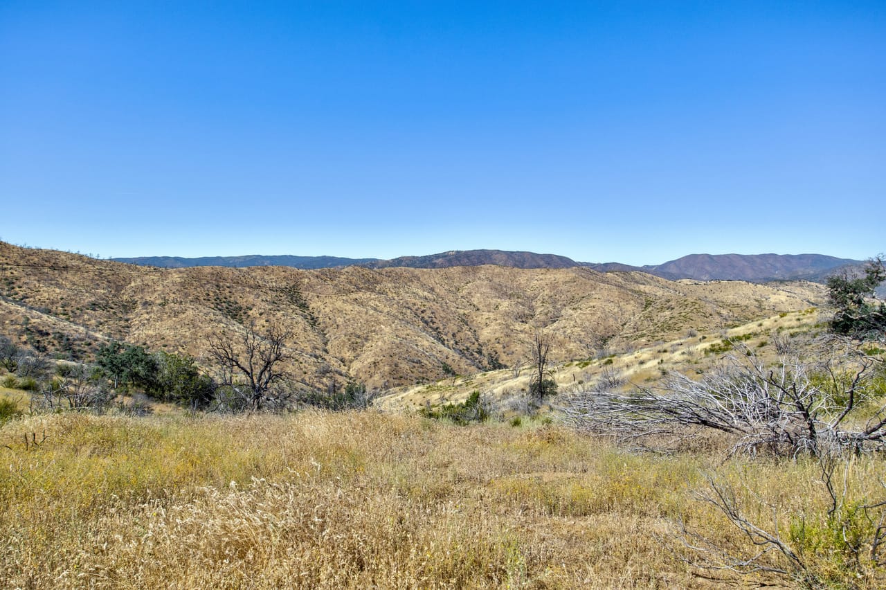 Listing Image 56