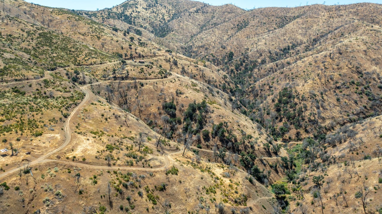 Listing Image 58