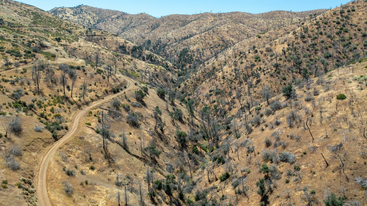 Listing Image 59