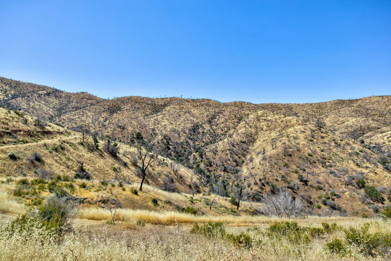 Listing Image 66