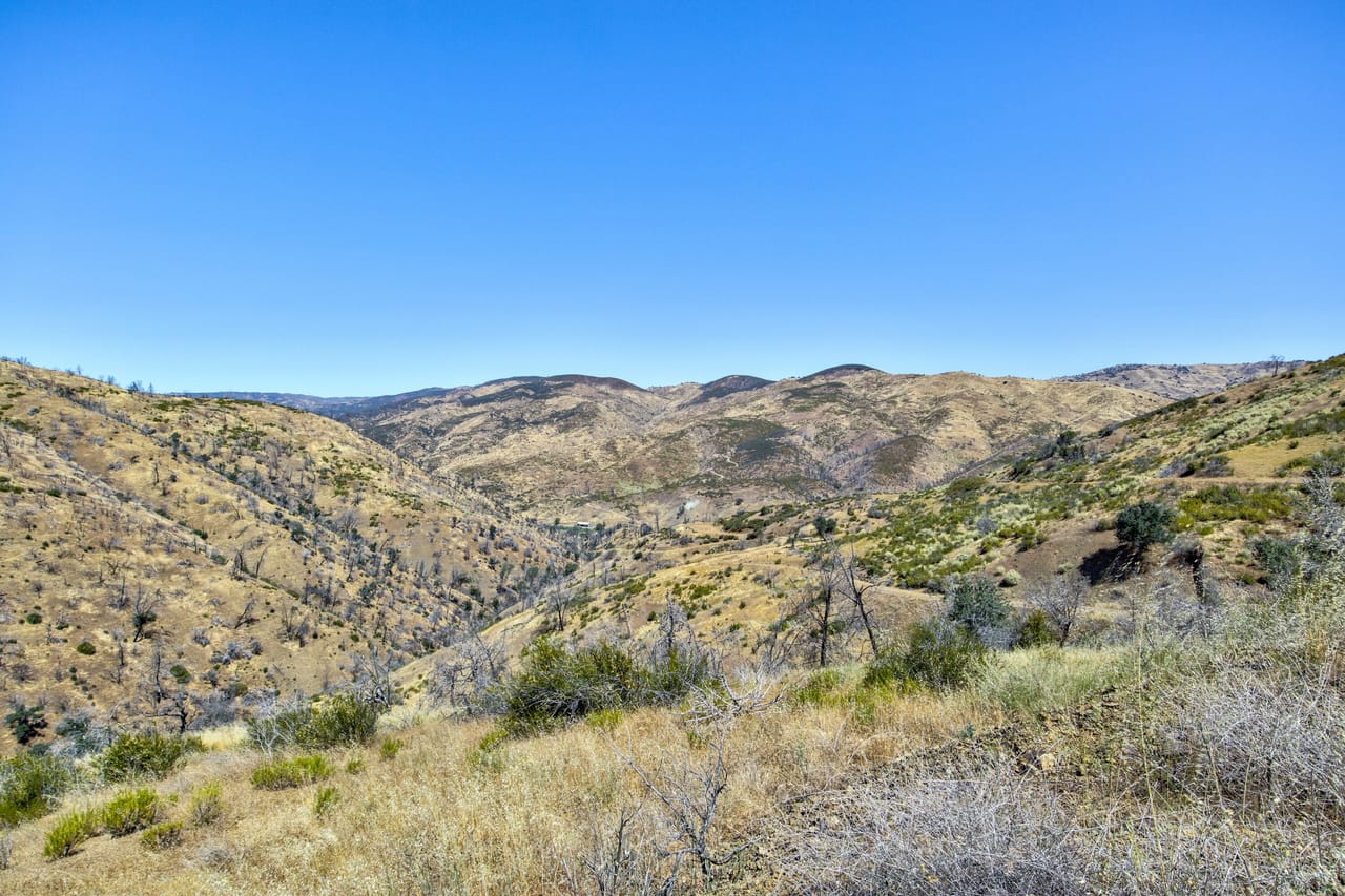Listing Image 67