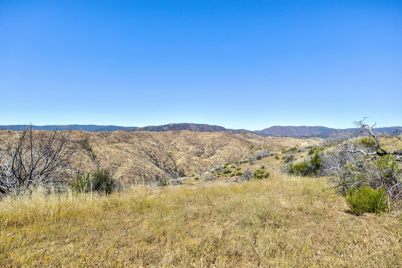 Listing Image 71