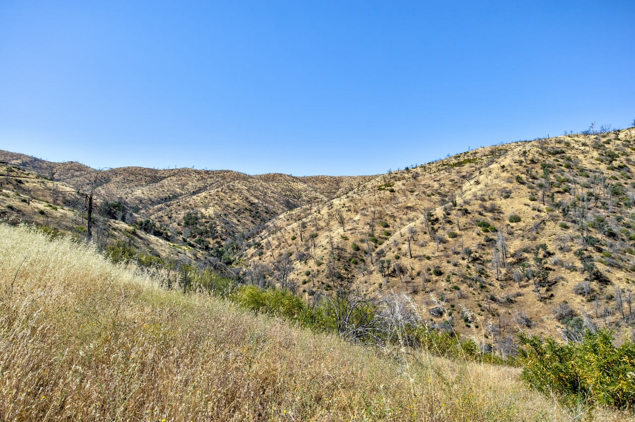Listing Image 72