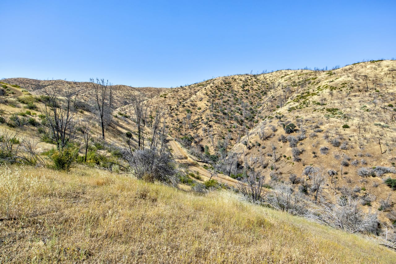 Listing Image 73