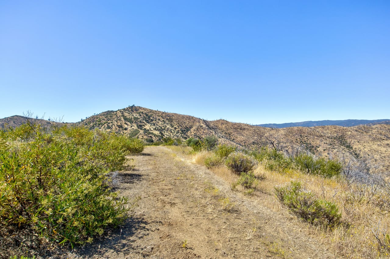 Listing Image 74
