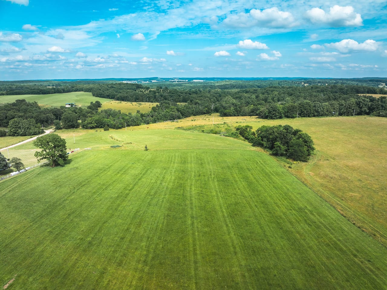 Listing Image 73