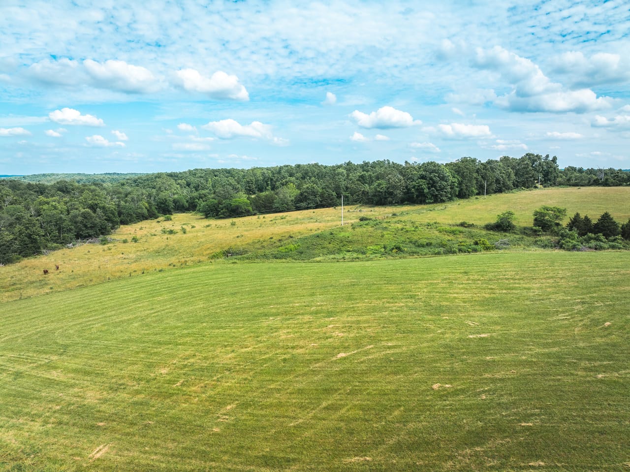 Listing Image 17