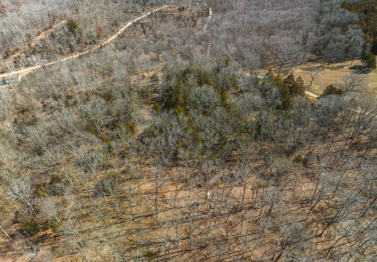 Listing Image 68
