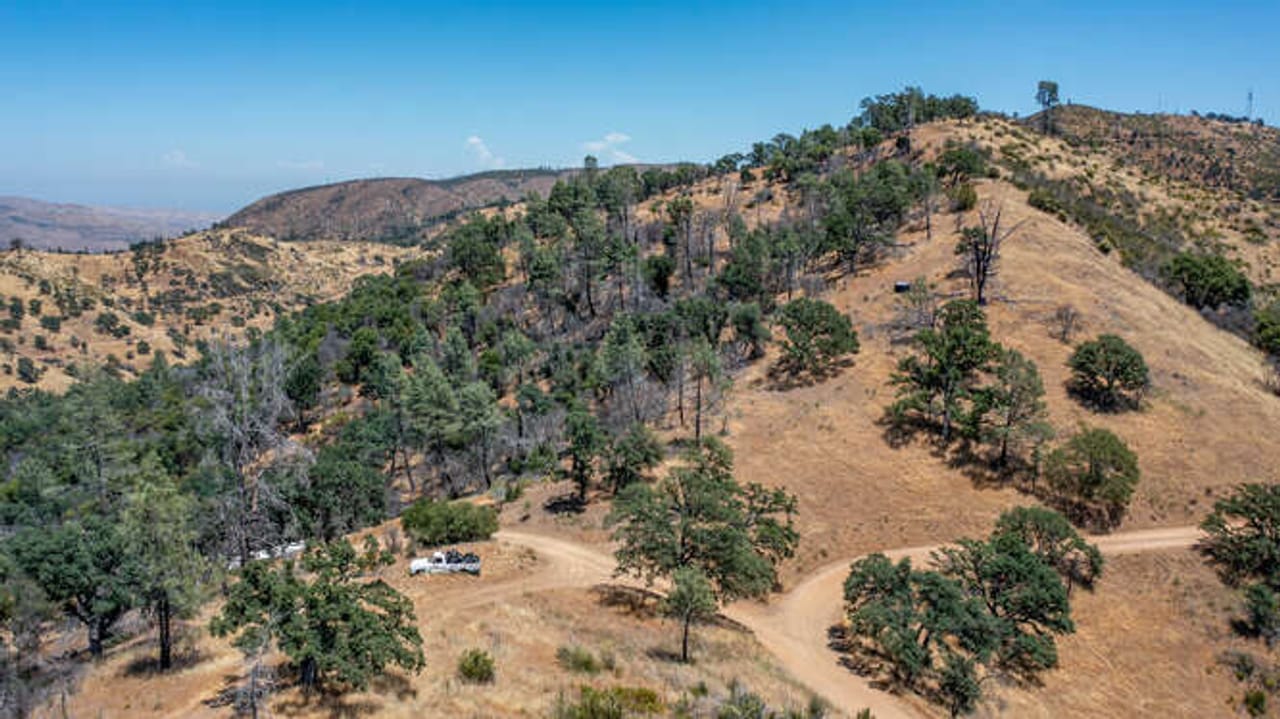 Listing Image 18