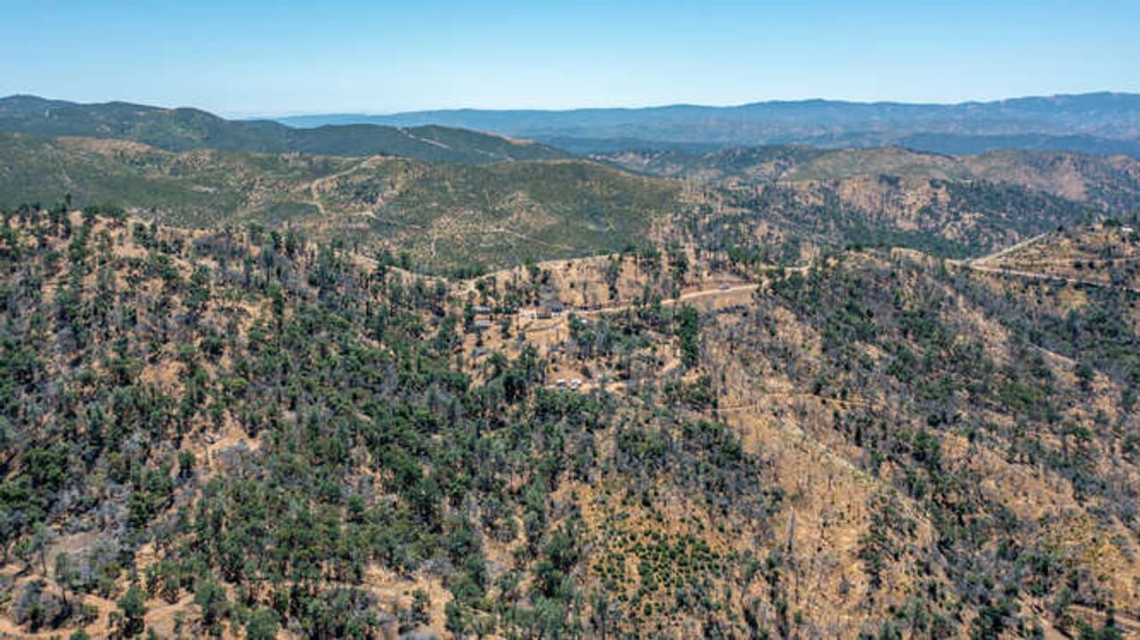 Listing Image 20