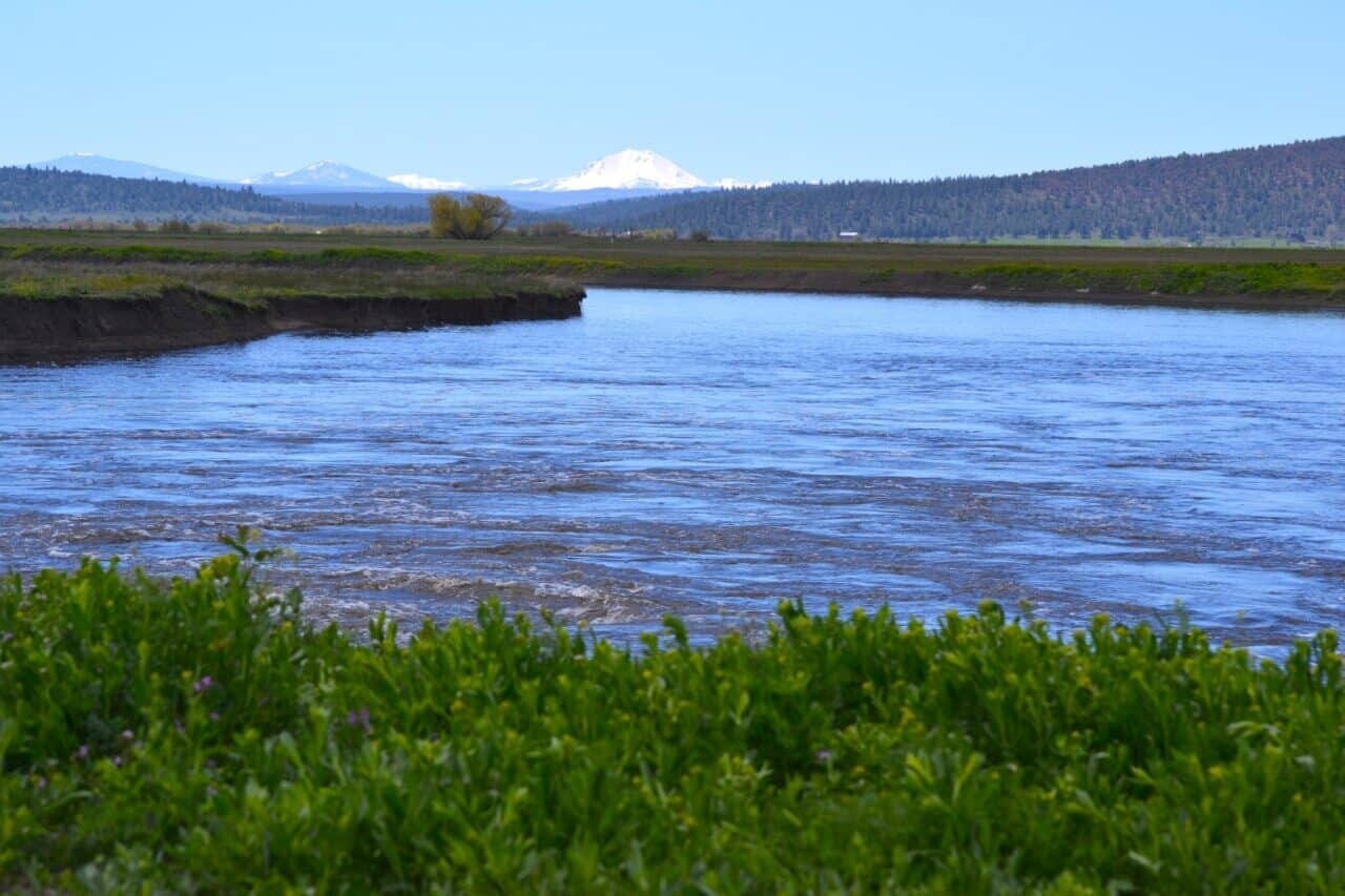 Listing Image 69