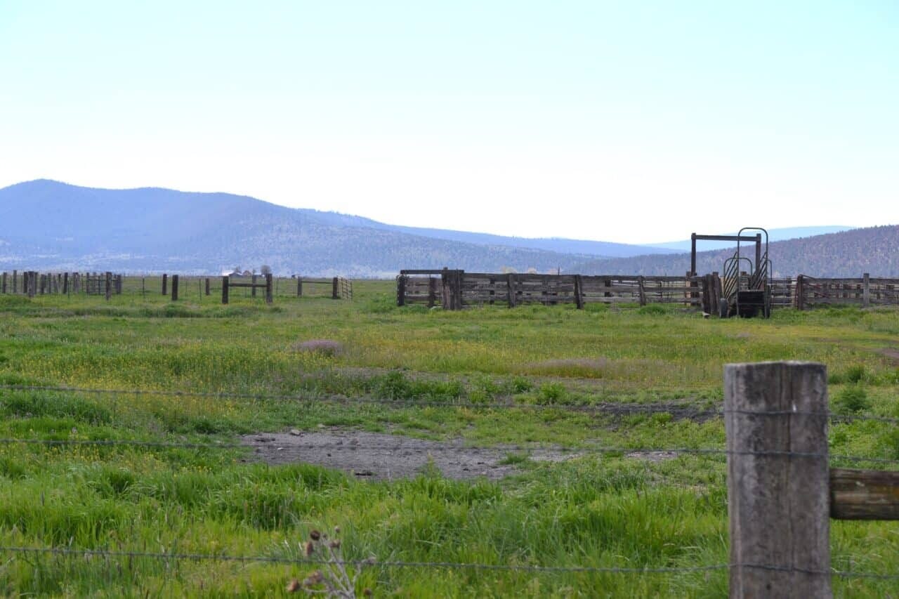 Listing Image 74