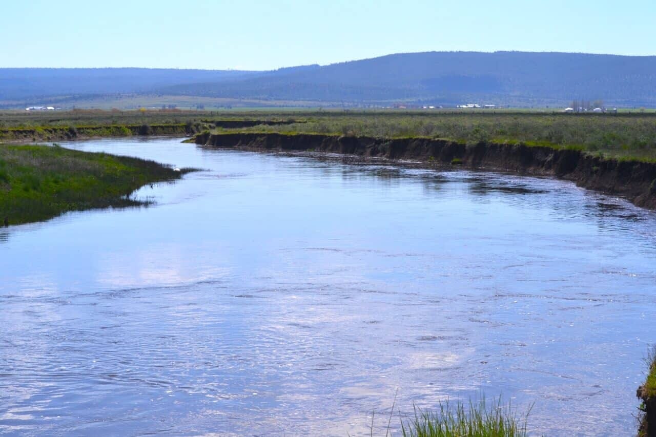 Listing Image 76