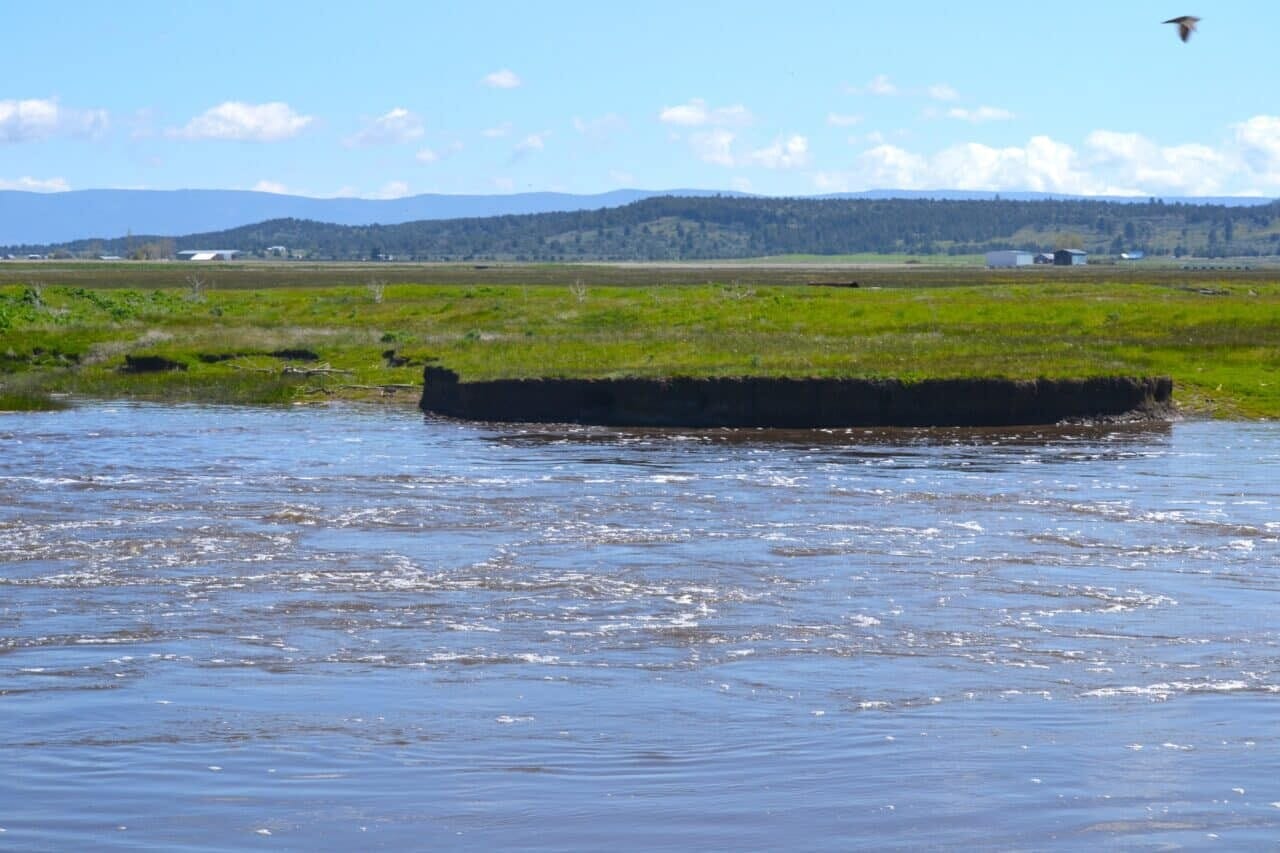 Listing Image 41
