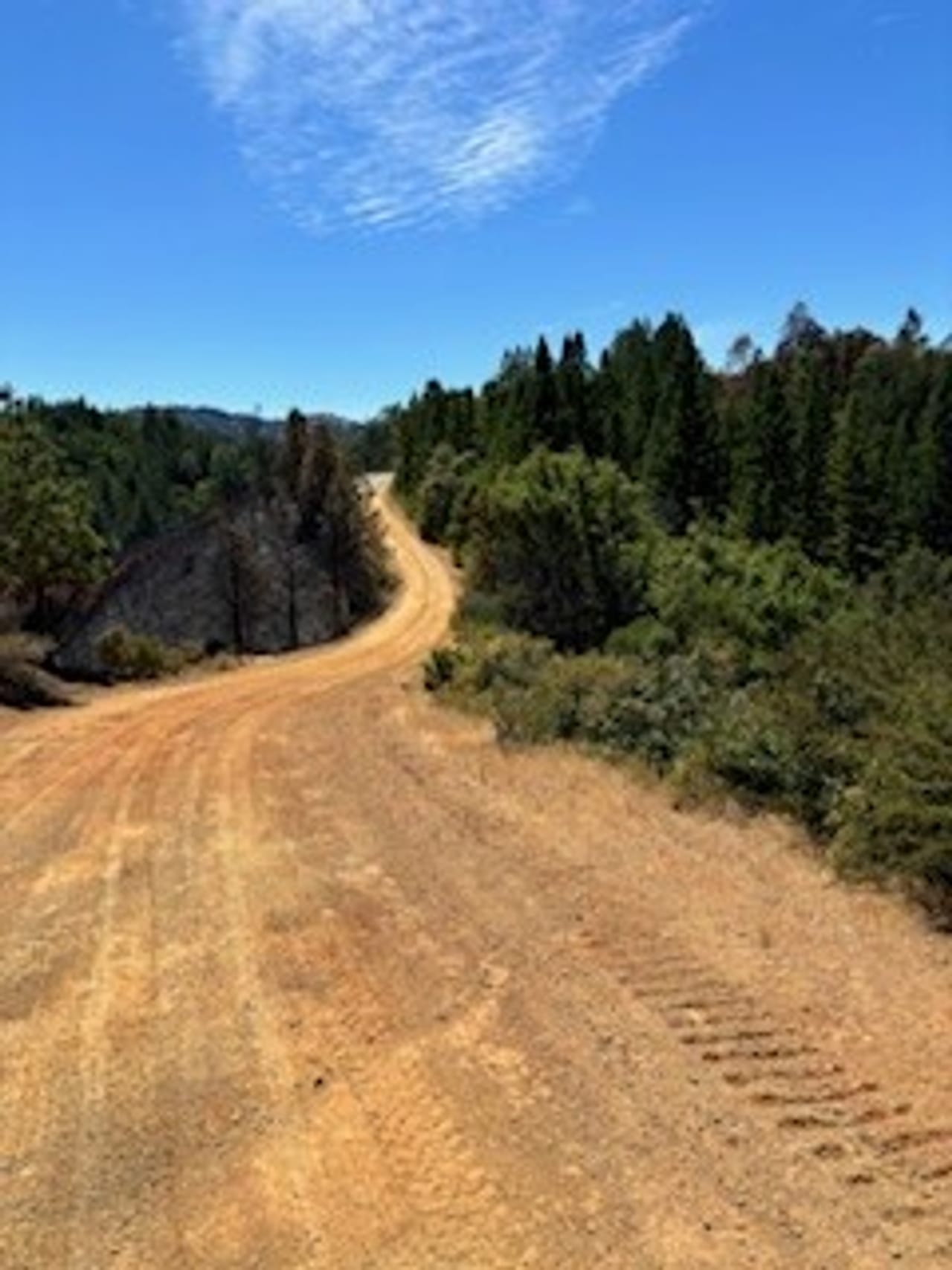 Listing Image 42