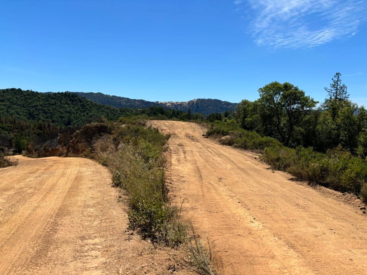 Listing Image 39