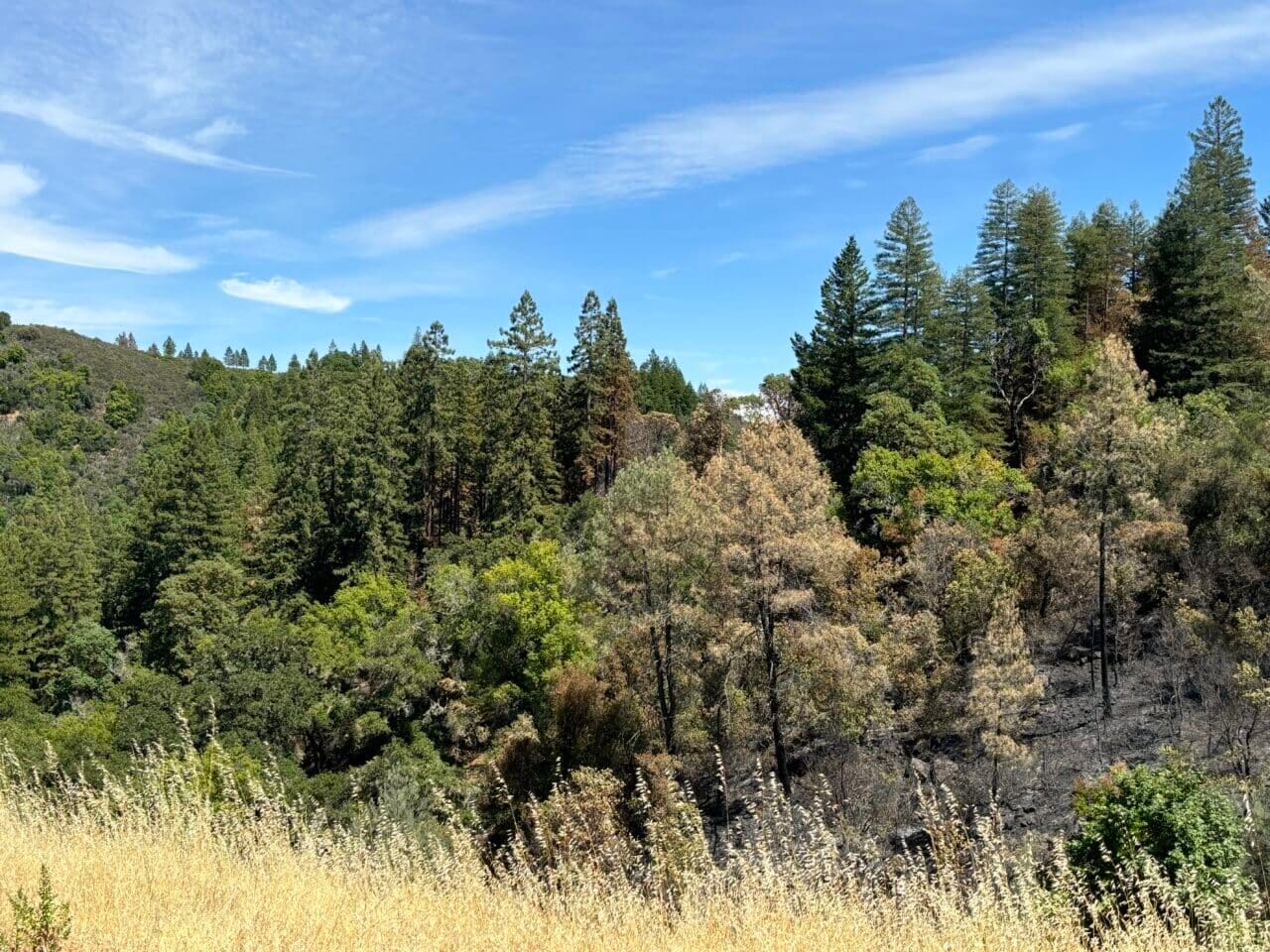 Listing Image 40